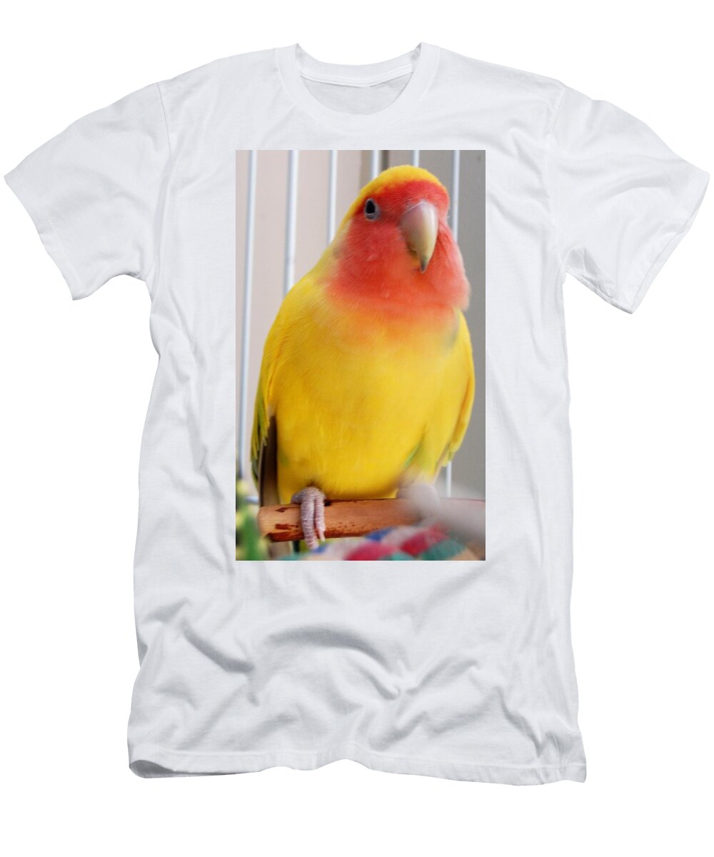 2 Kirby Rita Lulay Malsch T-Shirt