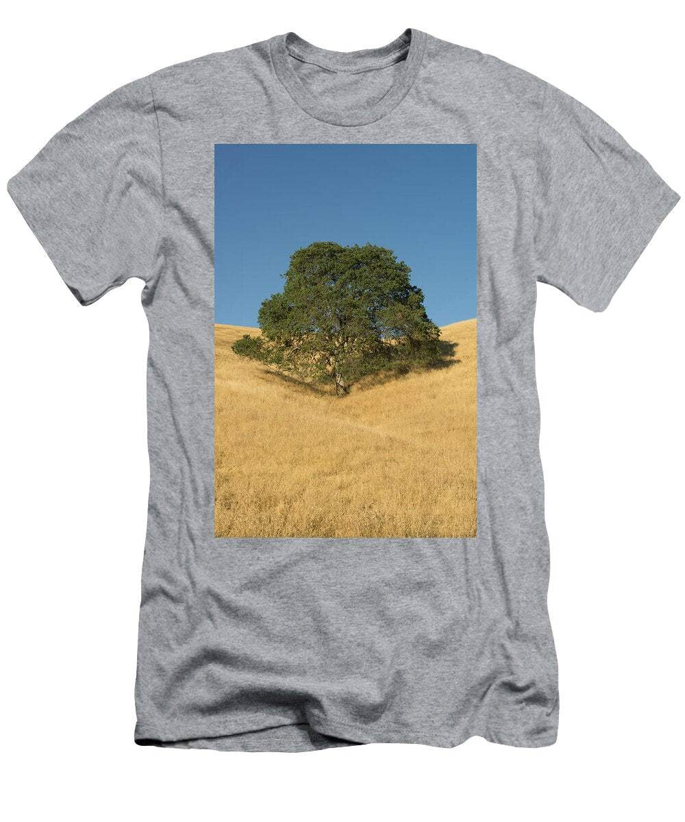 2 Oak Tree Mount Diablo State Park Kevin Schafer T-Shirt