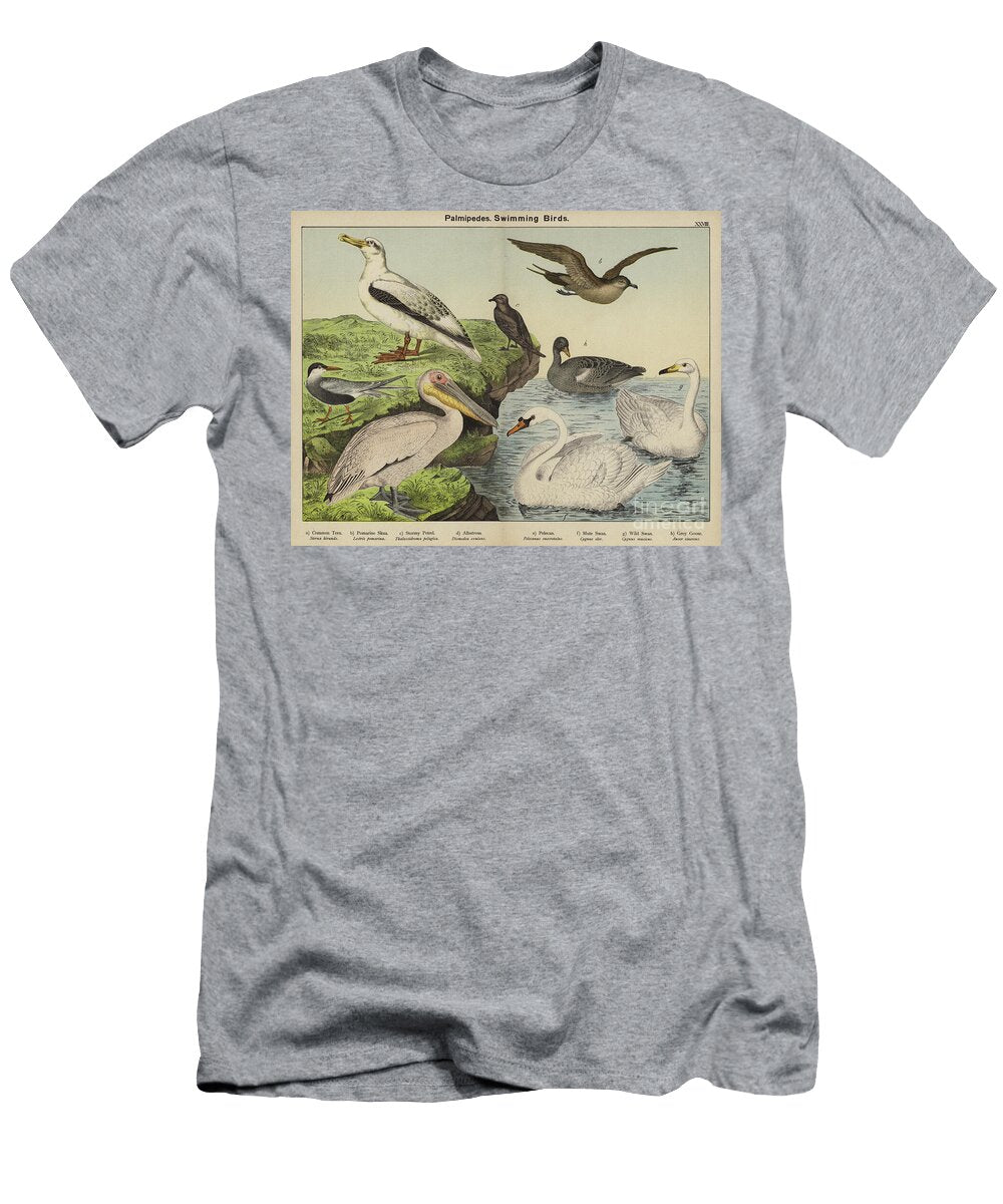2 Palmipedes Swimming Birds European School T-Shirt