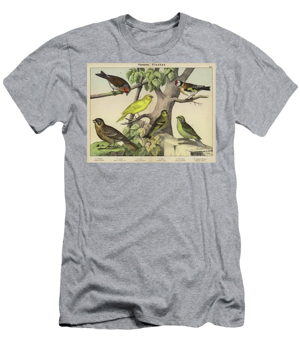 2 Passeres Finches European School T-Shirt