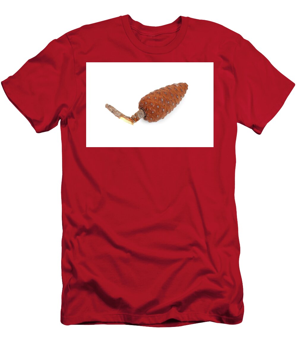 2 Pine Cone Liss Art Studio T-Shirt