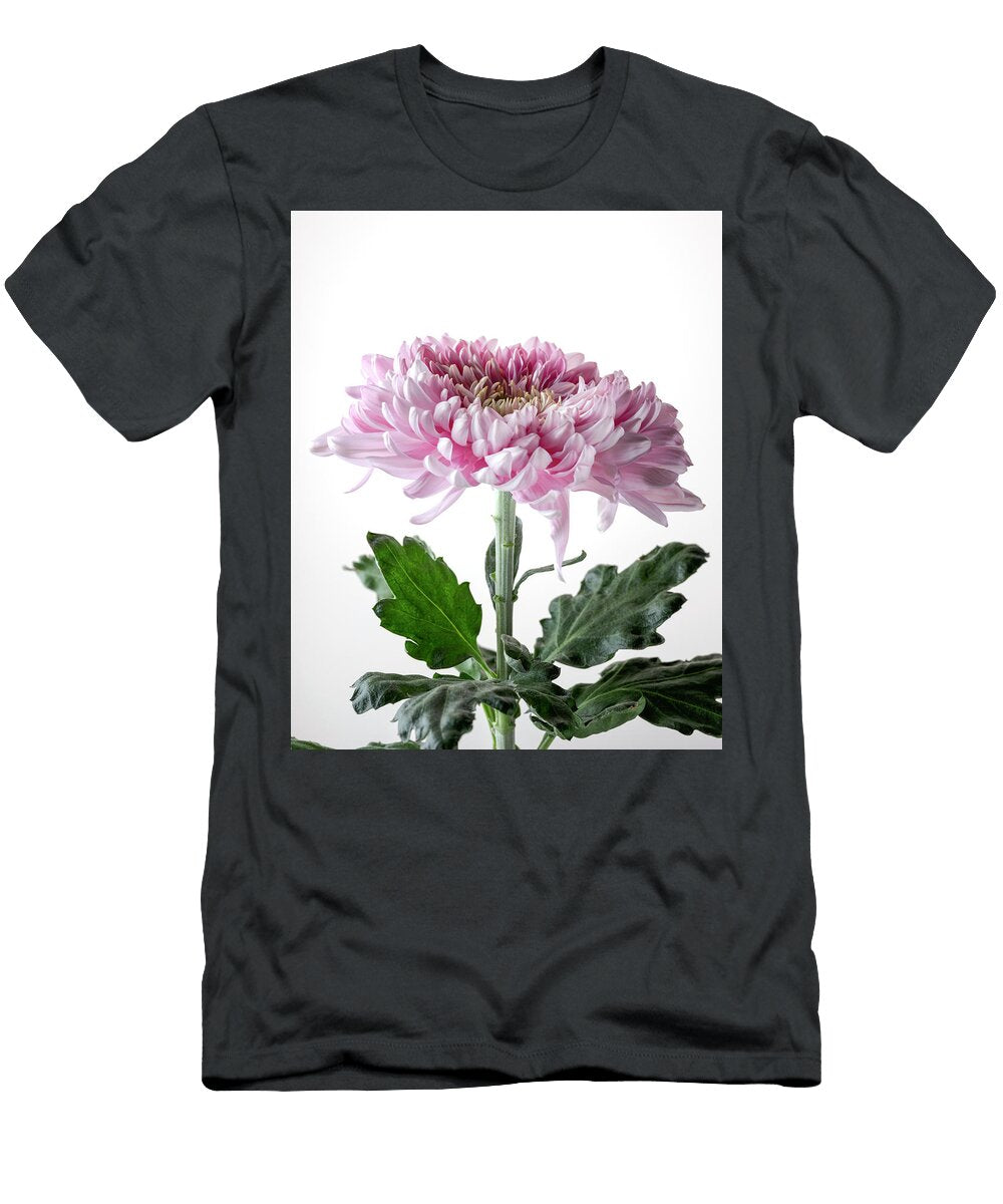 2 Pink Chrysanthemum Flower Portrait Series 1 Part 1 Flower in Full Bloom Nailia Schwarz T-Shirt