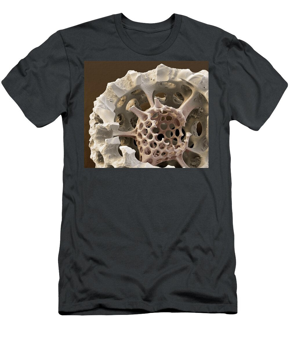 2 Radiolarian Stylosphra Sp Sem Oliver Meckes Eye of Science T-Shirt