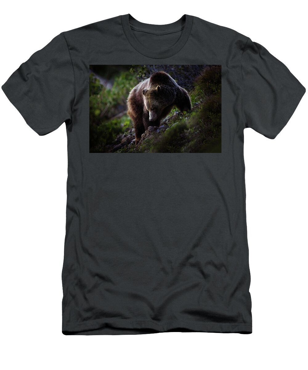 2 Raspberry Julie Argyle T-Shirt