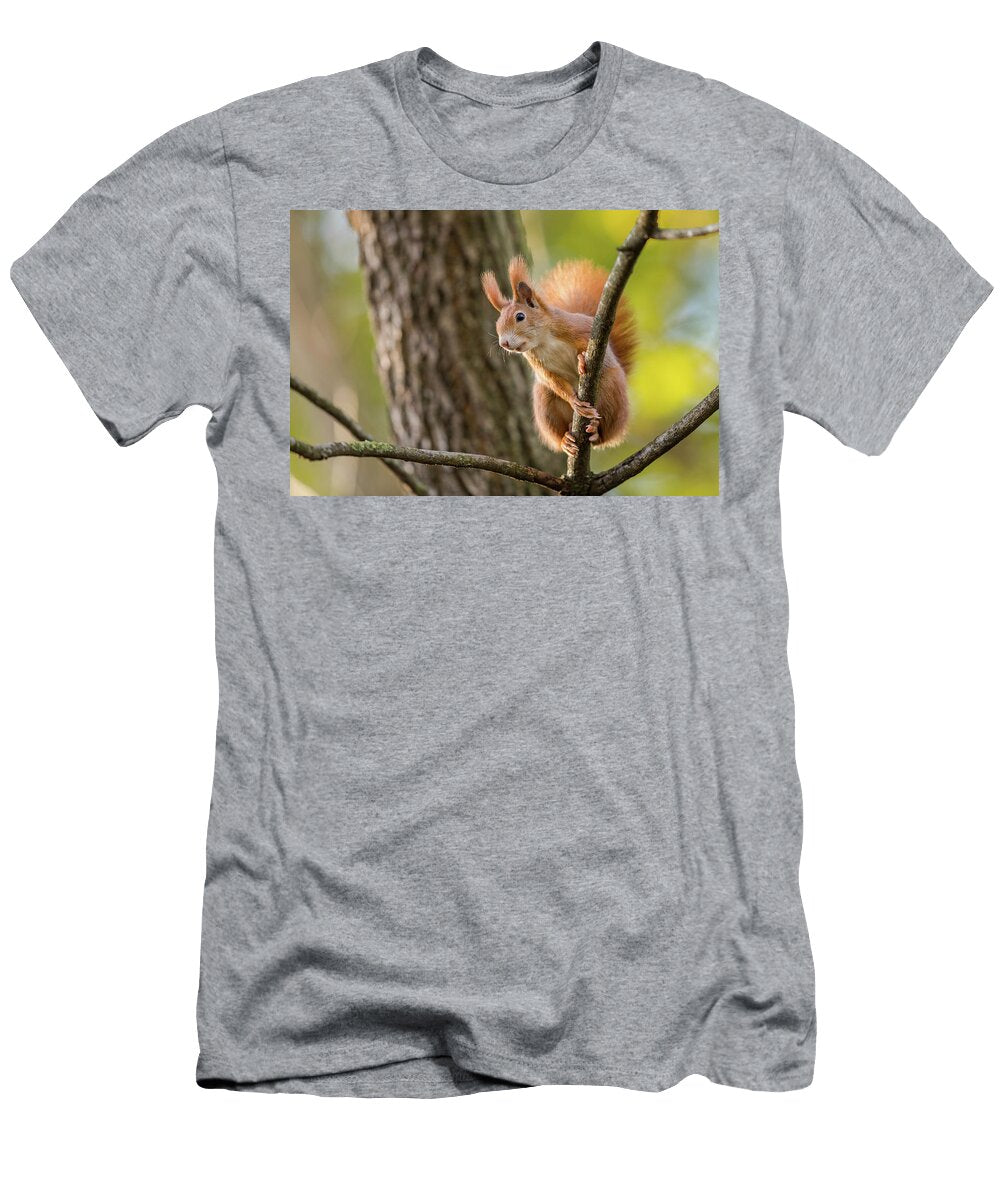 2 Red Squirrel Pordenone Italy Alessandro LA Porta T-Shirt