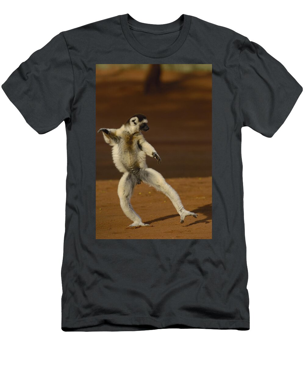 2 Verreauxs Sifaka Propithecus Verreauxi Pete Oxford T-Shirt