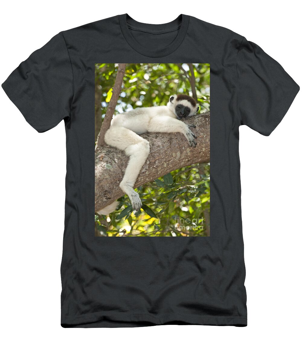 2 Verreauxs Sifaka Tony Camacho T-Shirt