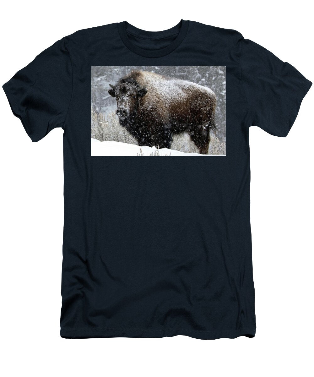 2 Winter Bison Julie Argyle T-Shirt