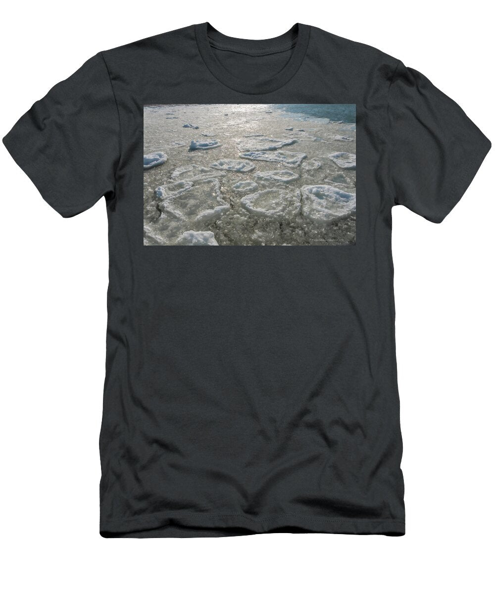2 Winter Port Austin Harbor Leeann Mclanegoetz Mclanegoetzstudiollccom T-Shirt