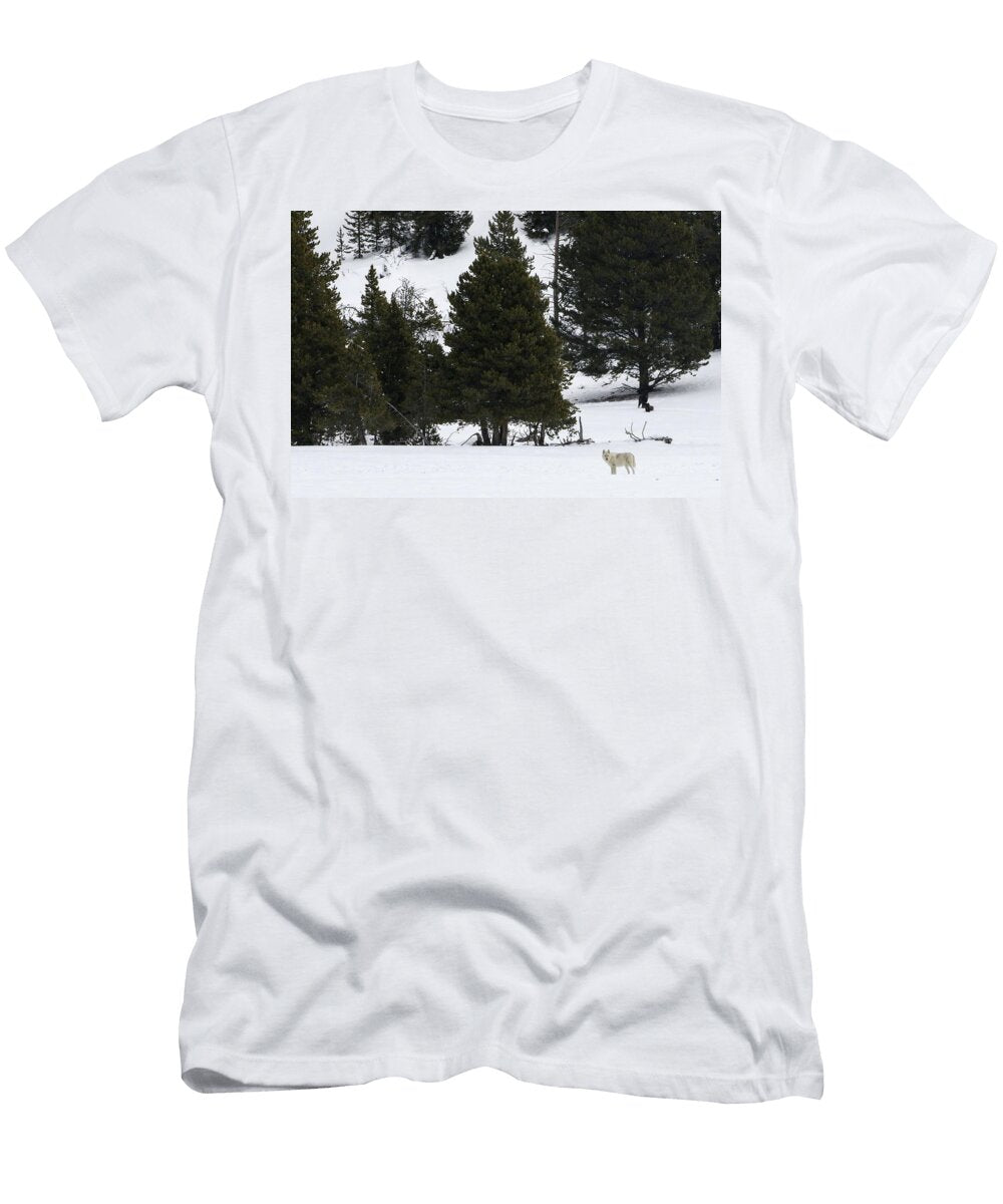 2 Winter Wolf Julie Argyle T-Shirt