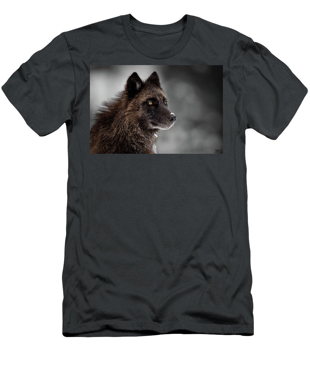 2 Wonder Julie Argyle T-Shirt