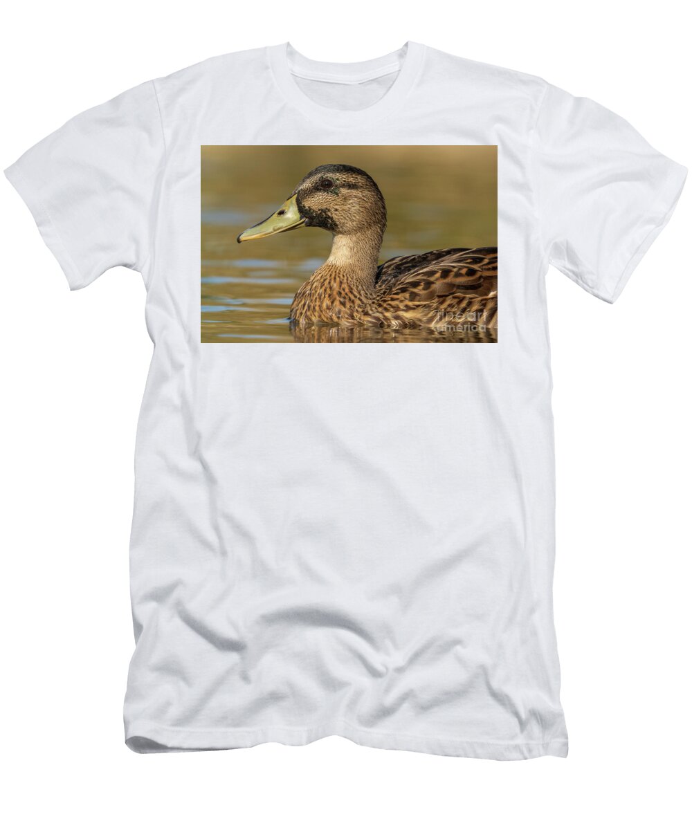 20 Mallard Anas Platyrhynchos Costa Ballena Cadiz Pablo Avanzini T-Shirt