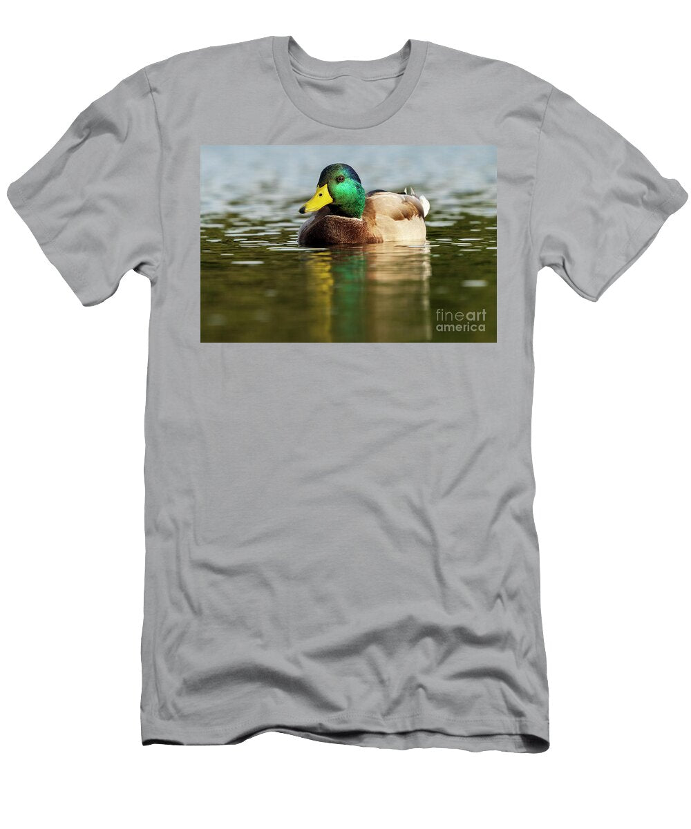 24 Mallard Anas Platyrhynchos Costa Ballena Cadiz Pablo Avanzini T-Shirt