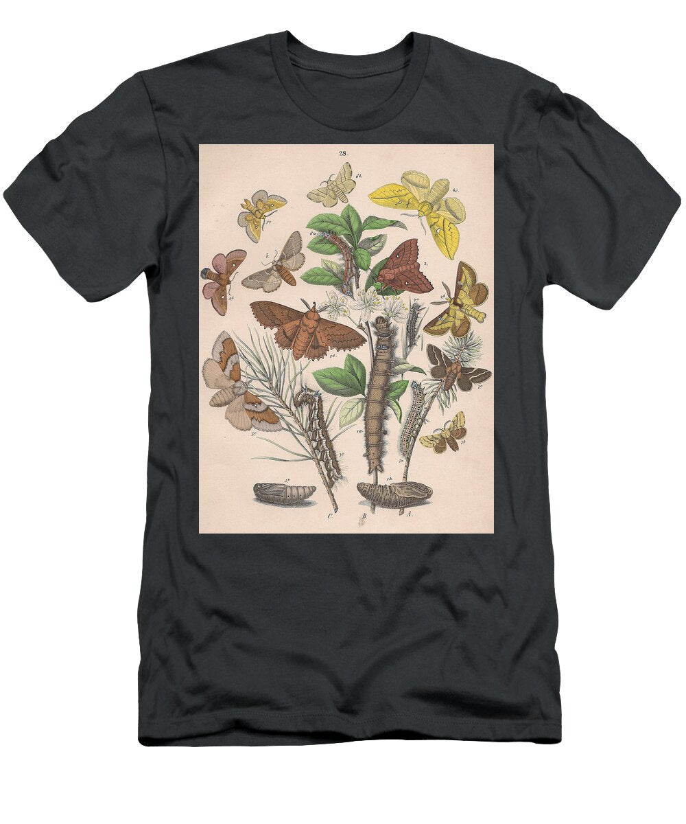 25 European Butterflies Ans Moths W F Kirby T-Shirt