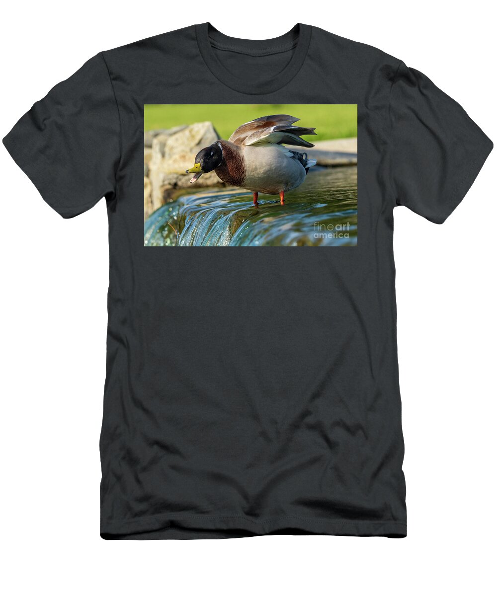 25 Mallard Anas Platyrhynchos Costa Ballena Cadiz Pablo Avanzini T-Shirt
