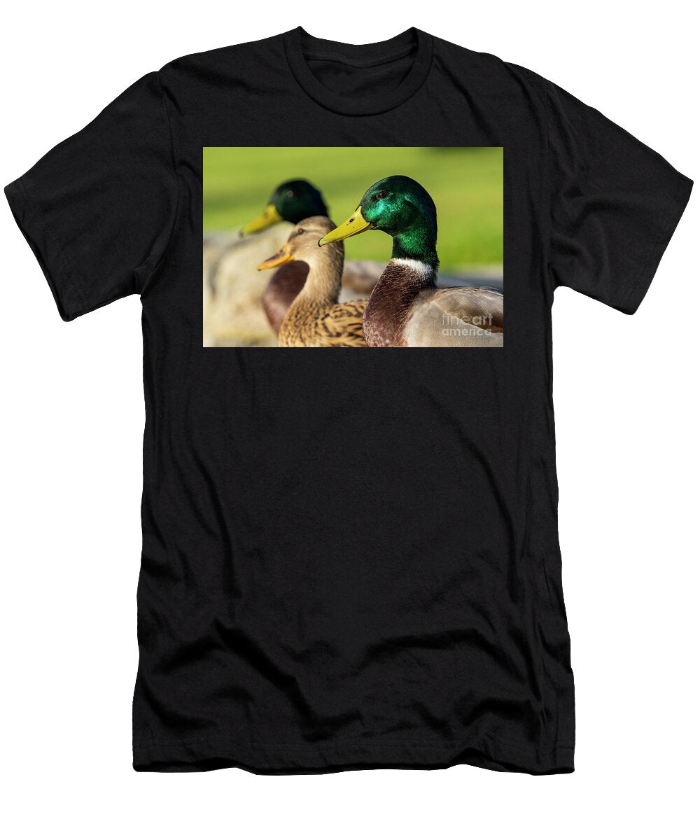 27 Mallard Anas Platyrhynchos Costa Ballena Cadiz Pablo Avanzini T-Shirt