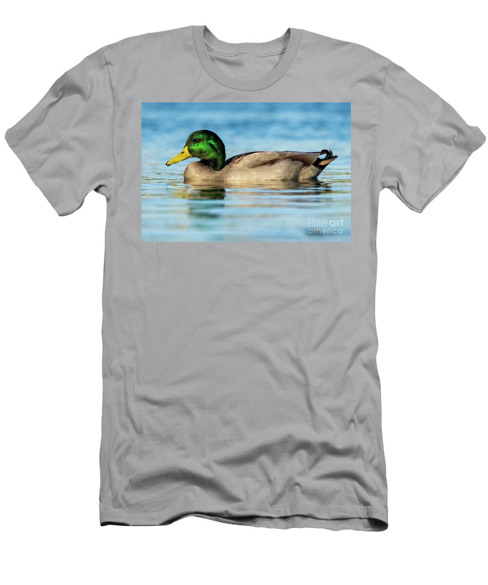 29 Mallard Anas Platyrhynchos Costa Ballena Cadiz Pablo Avanzini T-Shirt