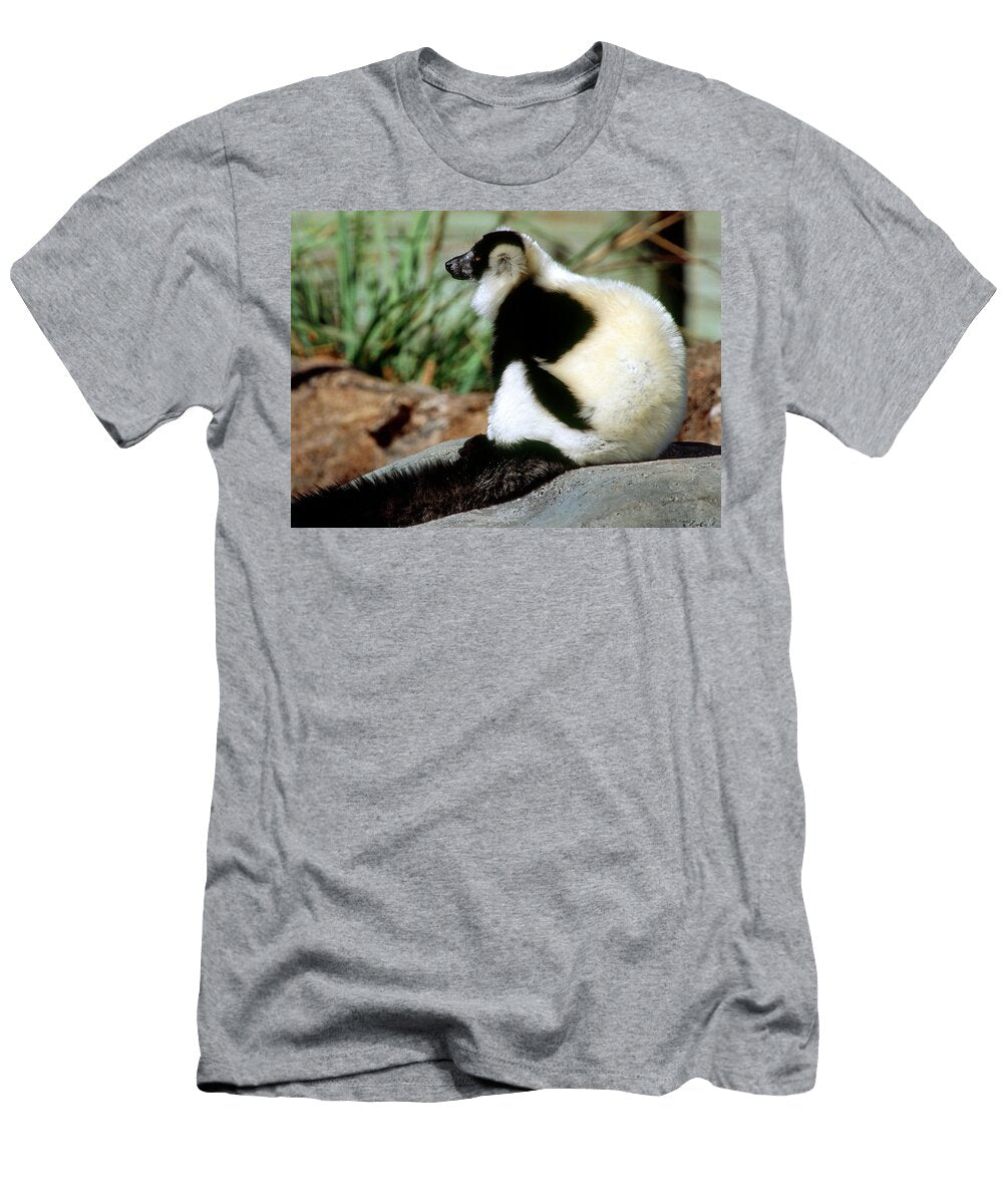 3 Black and White Ruffed Lemur Millard H Sharp T-Shirt