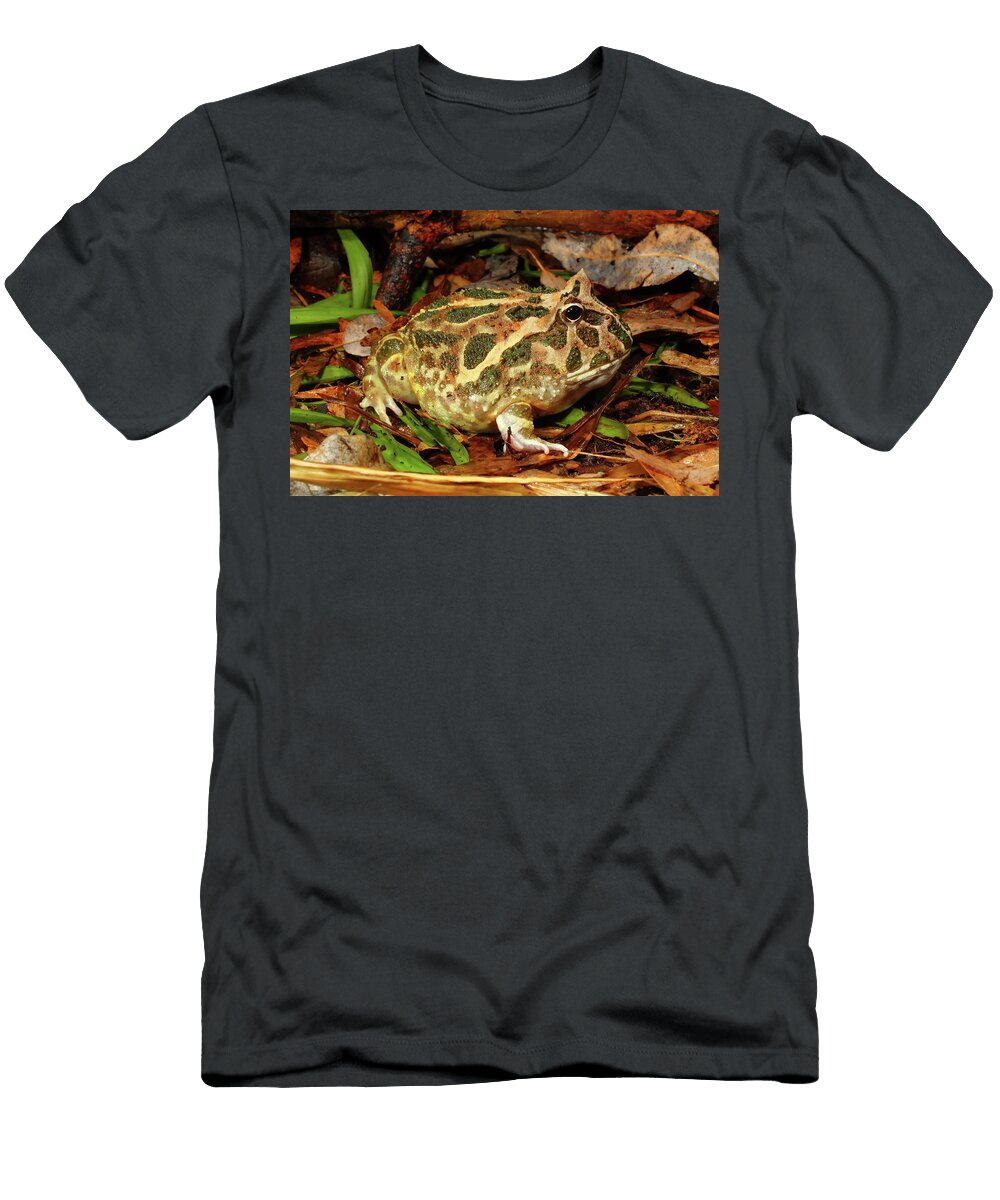 3 Chaco Horned Frog Michael Redmer T-Shirt