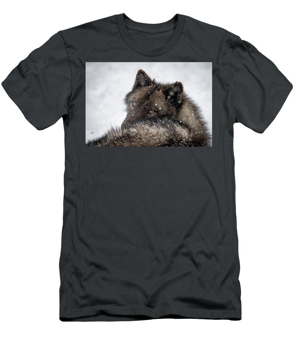 3 Discovery Center Wolves Julie Argyle T-Shirt