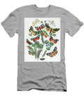 3 European Butterflies and Moths William Forsell Kirby T-Shirt