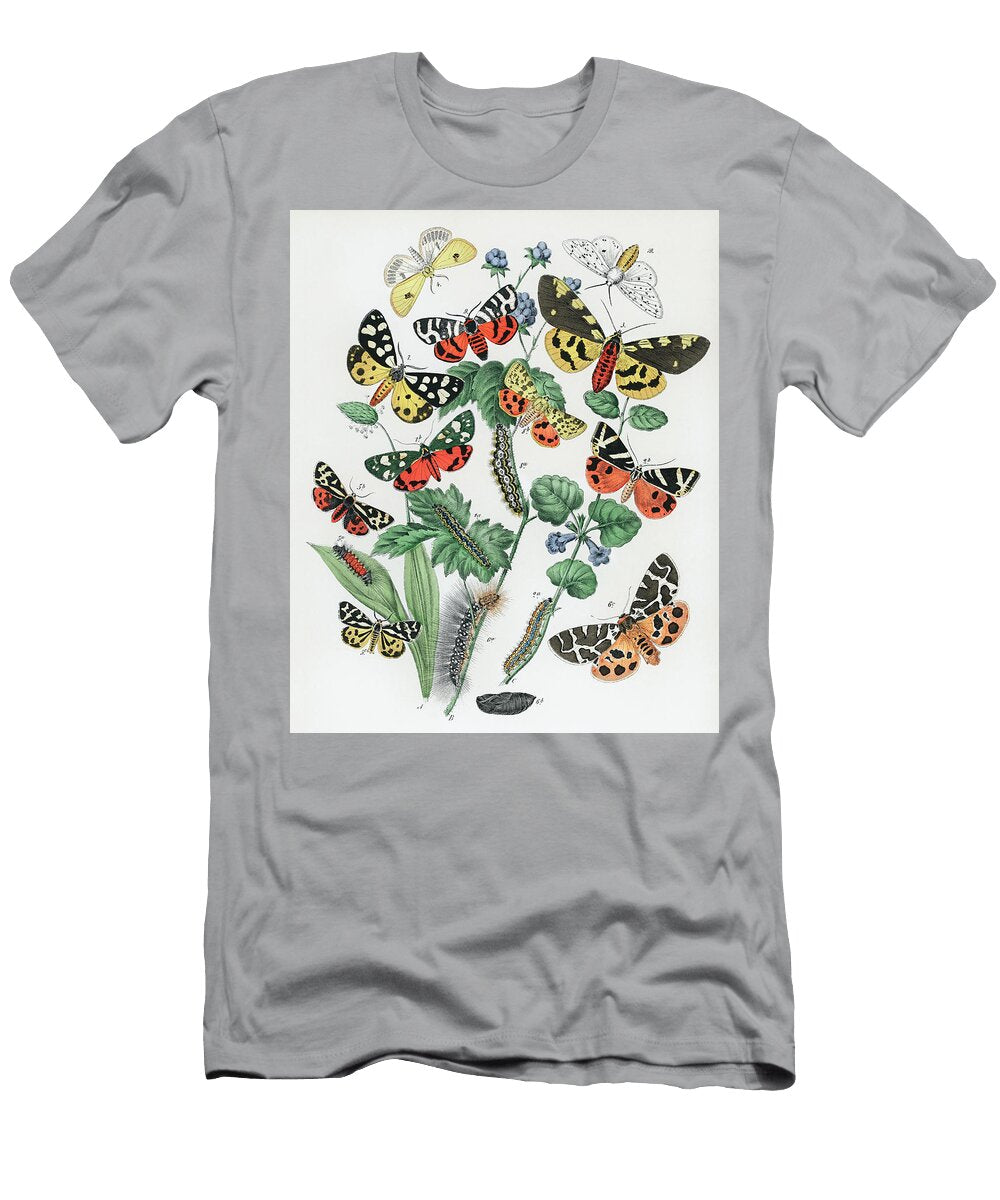 3 European Butterflies and Moths William Forsell Kirby T-Shirt