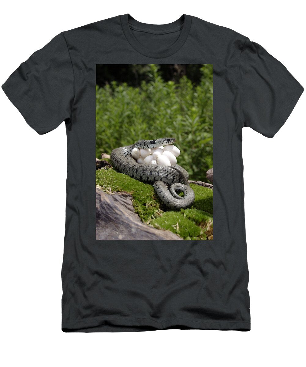 3 Grass Snake with Eggs M Watson T-Shirt