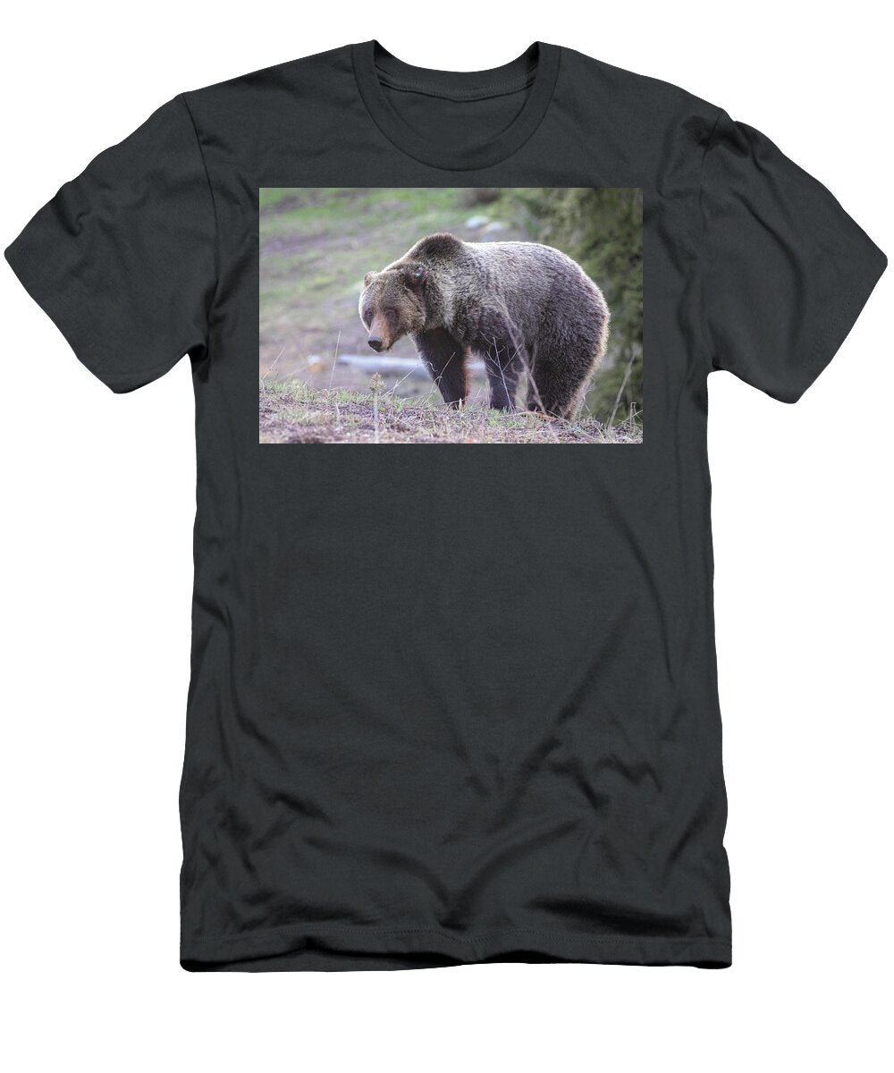 3 Grizzly Julie Argyle T-Shirt