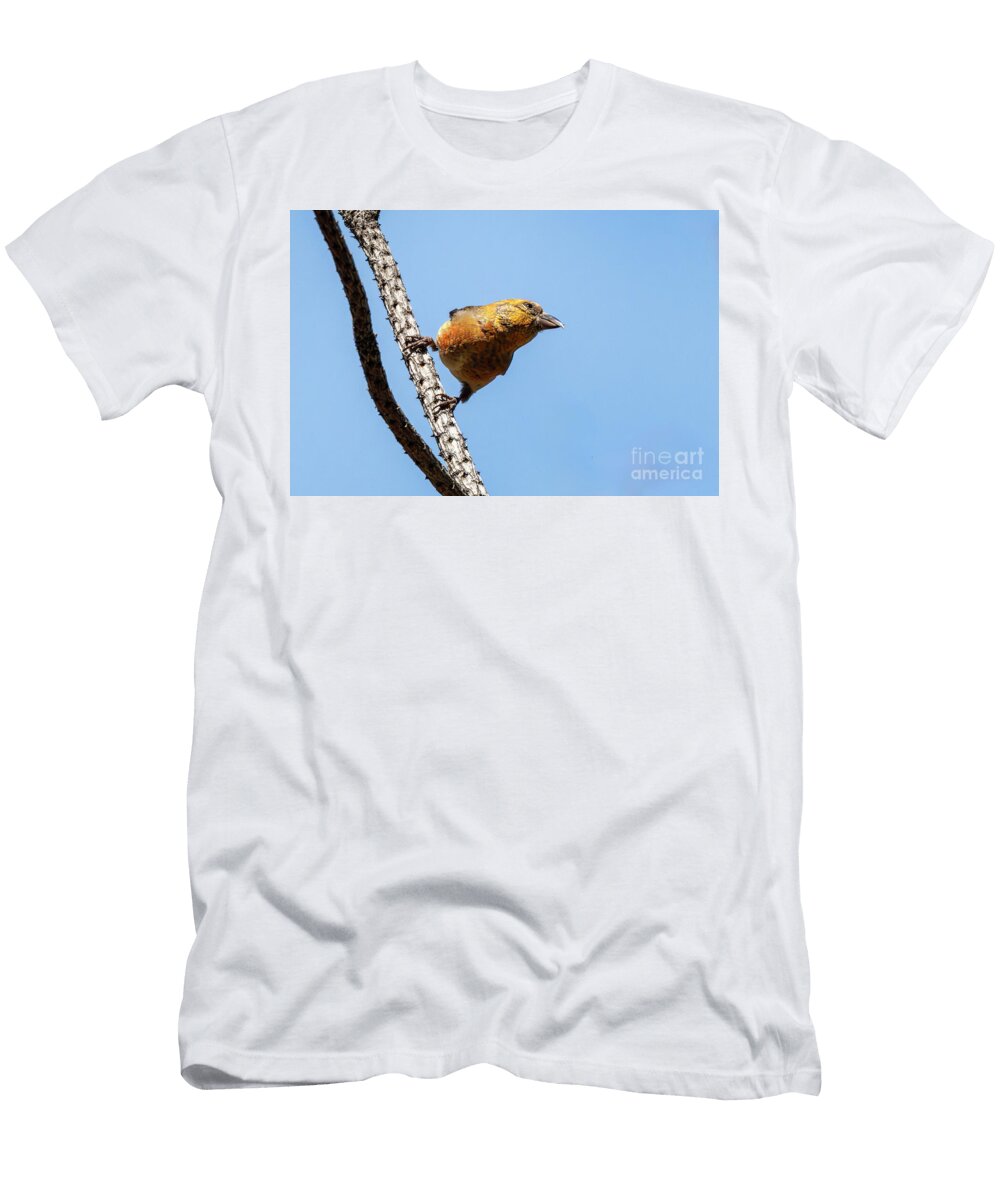 3 Hang on Michael Dawson T-Shirt