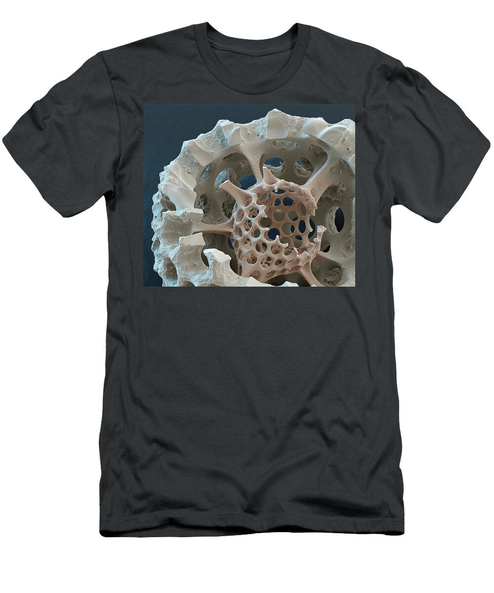 3 Radiolarian Stylosphra Sp Sem Oliver Meckes Eye of Science T-Shirt