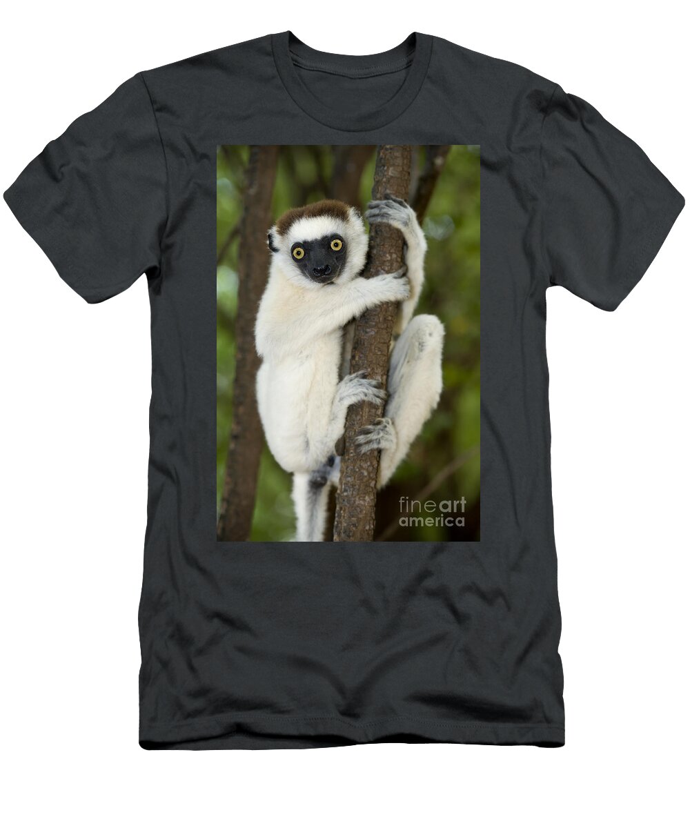 3 Verreauxs Sifaka Tony Camacho T-Shirt