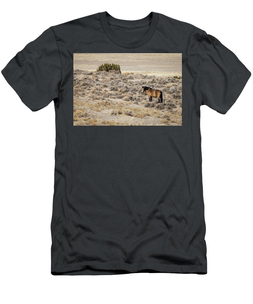 3 Wild Horses Julie Argyle T-Shirt