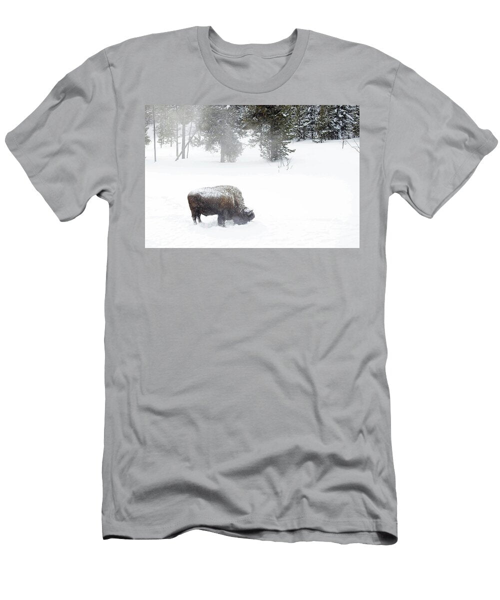 3 Winter Bison Julie Argyle T-Shirt