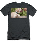 3 Woman Hands Brushing a Dogs Teeth on Green Curtain Background Dorin Puha T-Shirt
