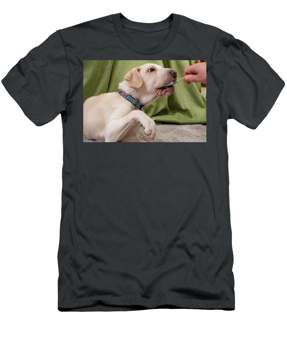 3 Woman Hands Brushing a Dogs Teeth on Green Curtain Background Dorin Puha T-Shirt
