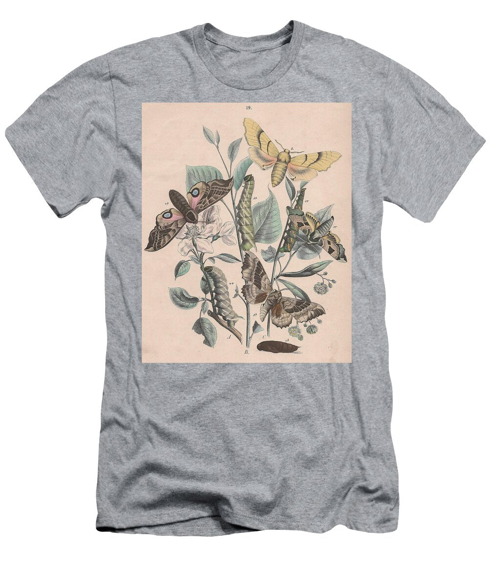 30 European Butterflies Ans Moths W F Kirby T-Shirt