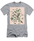 31 European Butterflies Ans Moths W F Kirby T-Shirt