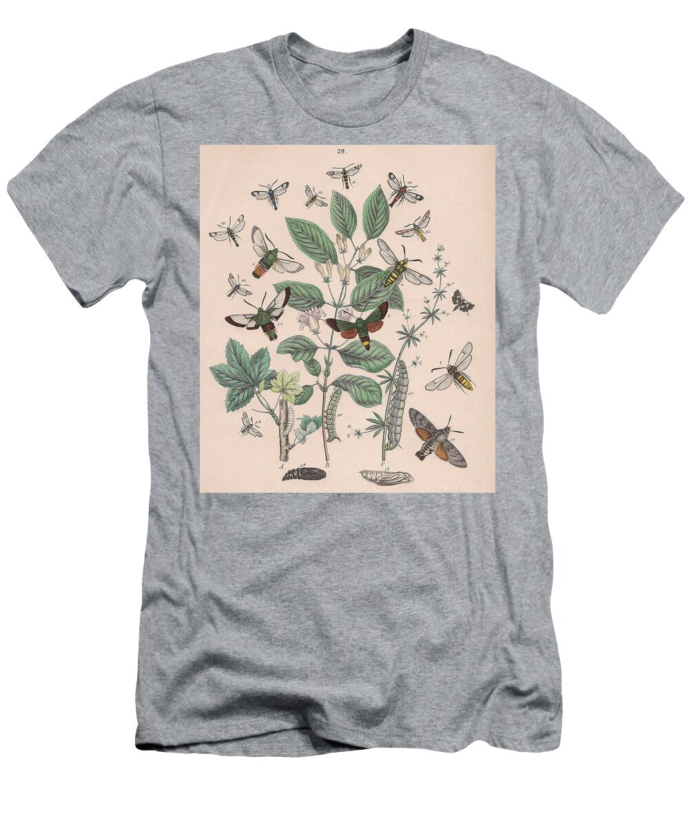 31 European Butterflies Ans Moths W F Kirby T-Shirt