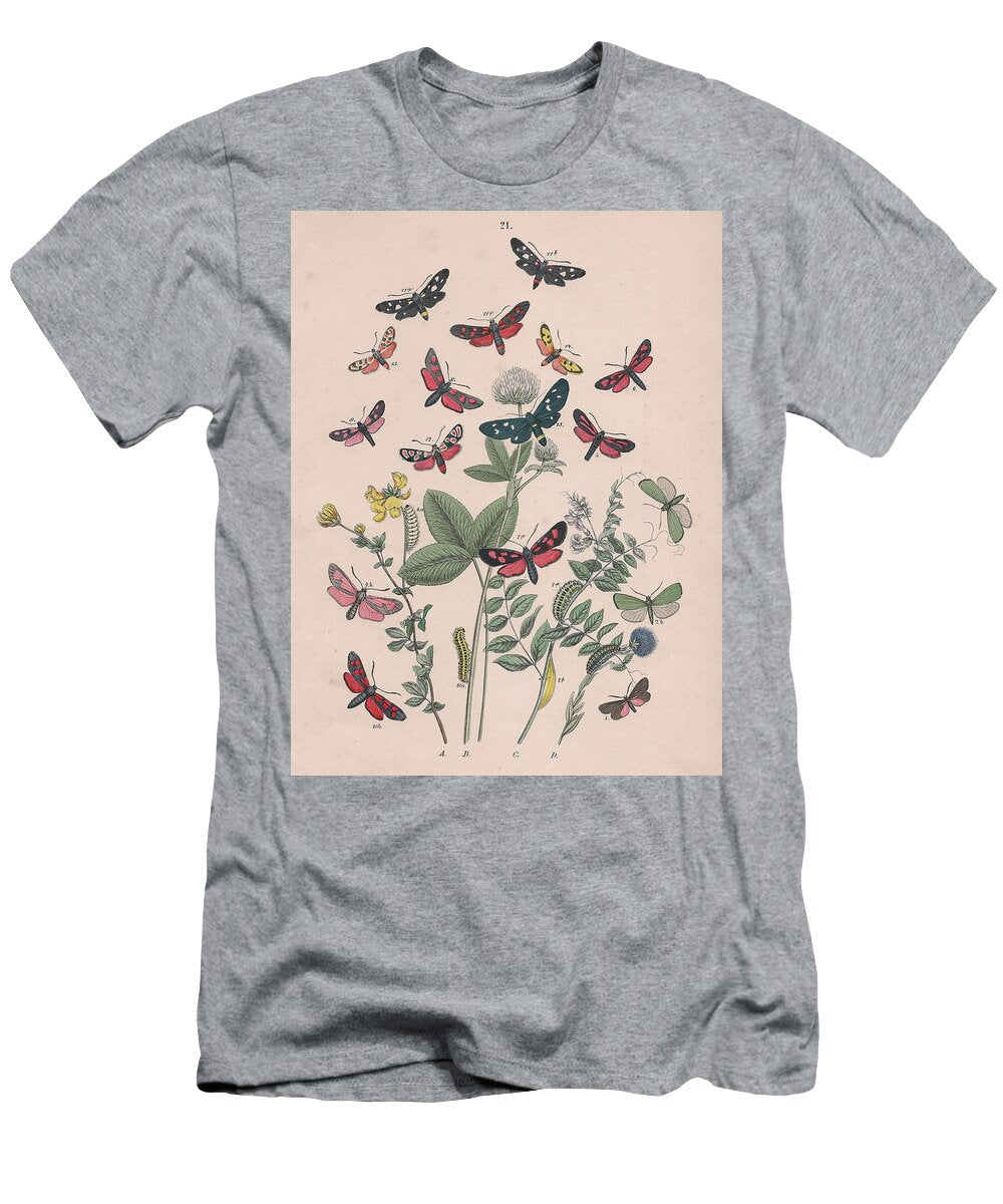 32 European Butterflies Ans Moths W F Kirby T-Shirt
