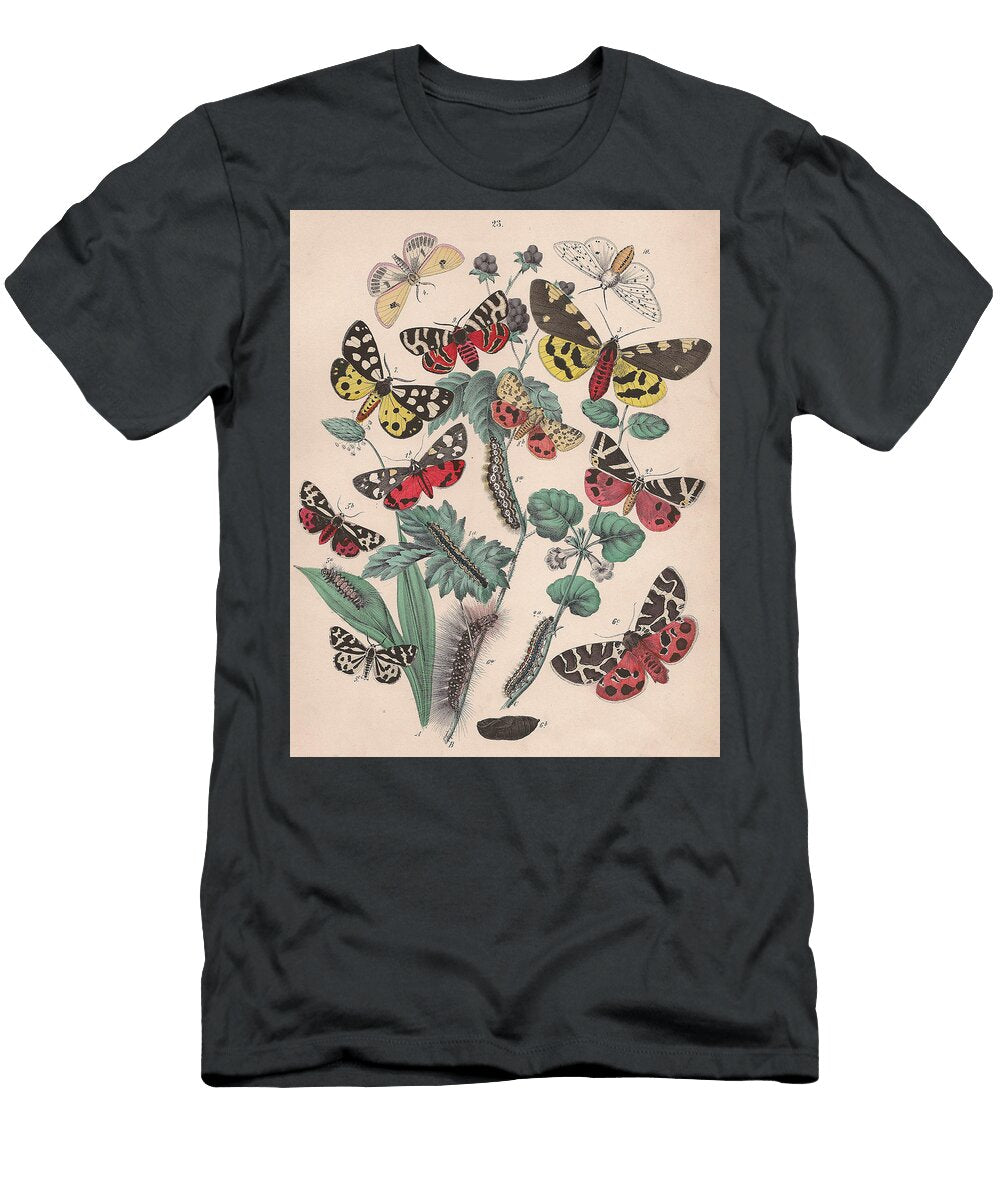 34 European Butterflies Ans Moths W F Kirby T-Shirt