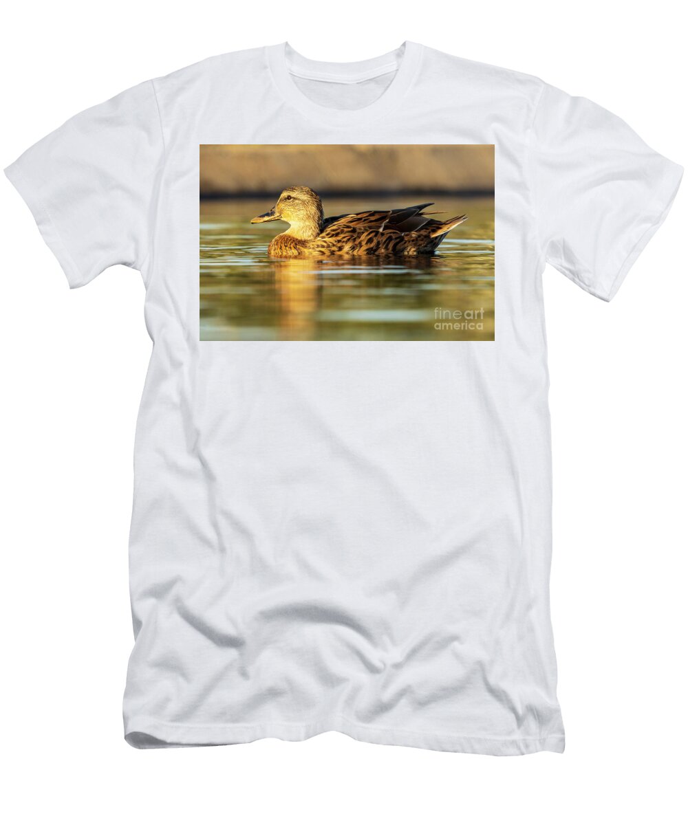 35 Mallard Anas Platyrhynchos Costa Ballena Cadiz Pablo Avanzini T-Shirt
