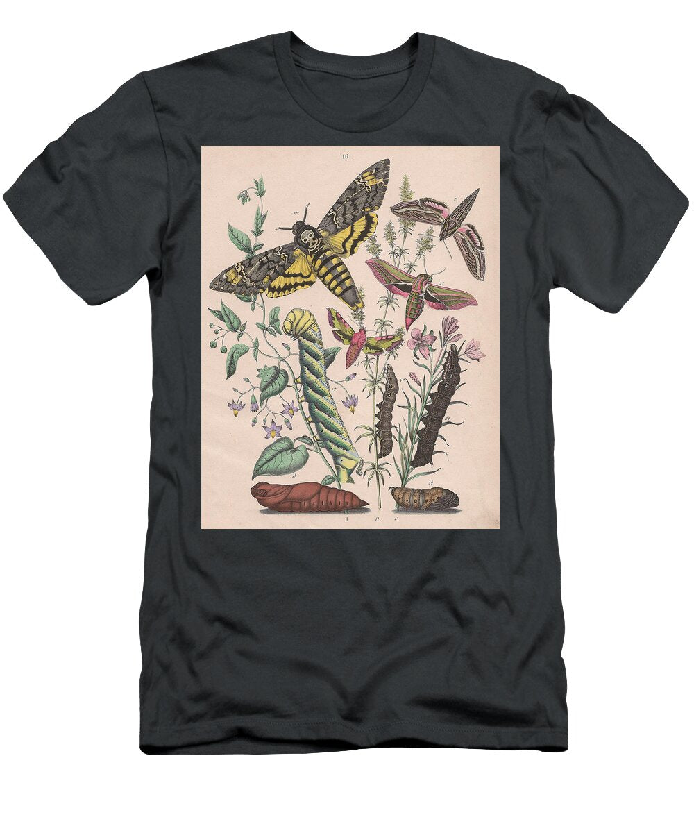 37 European Butterflies Ans Moths W F Kirby T-Shirt