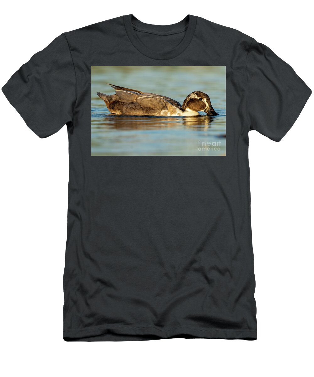 38 Mallard Anas Platyrhynchos Costa Ballena Cadiz Pablo Avanzini T-Shirt