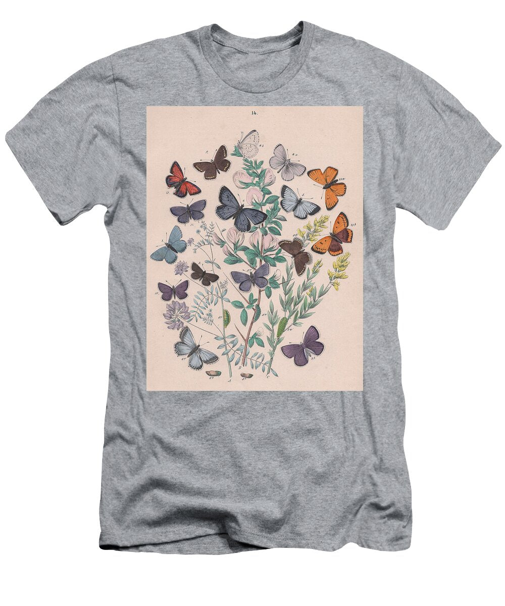 39 European Butterflies Ans Moths W F Kirby T-Shirt
