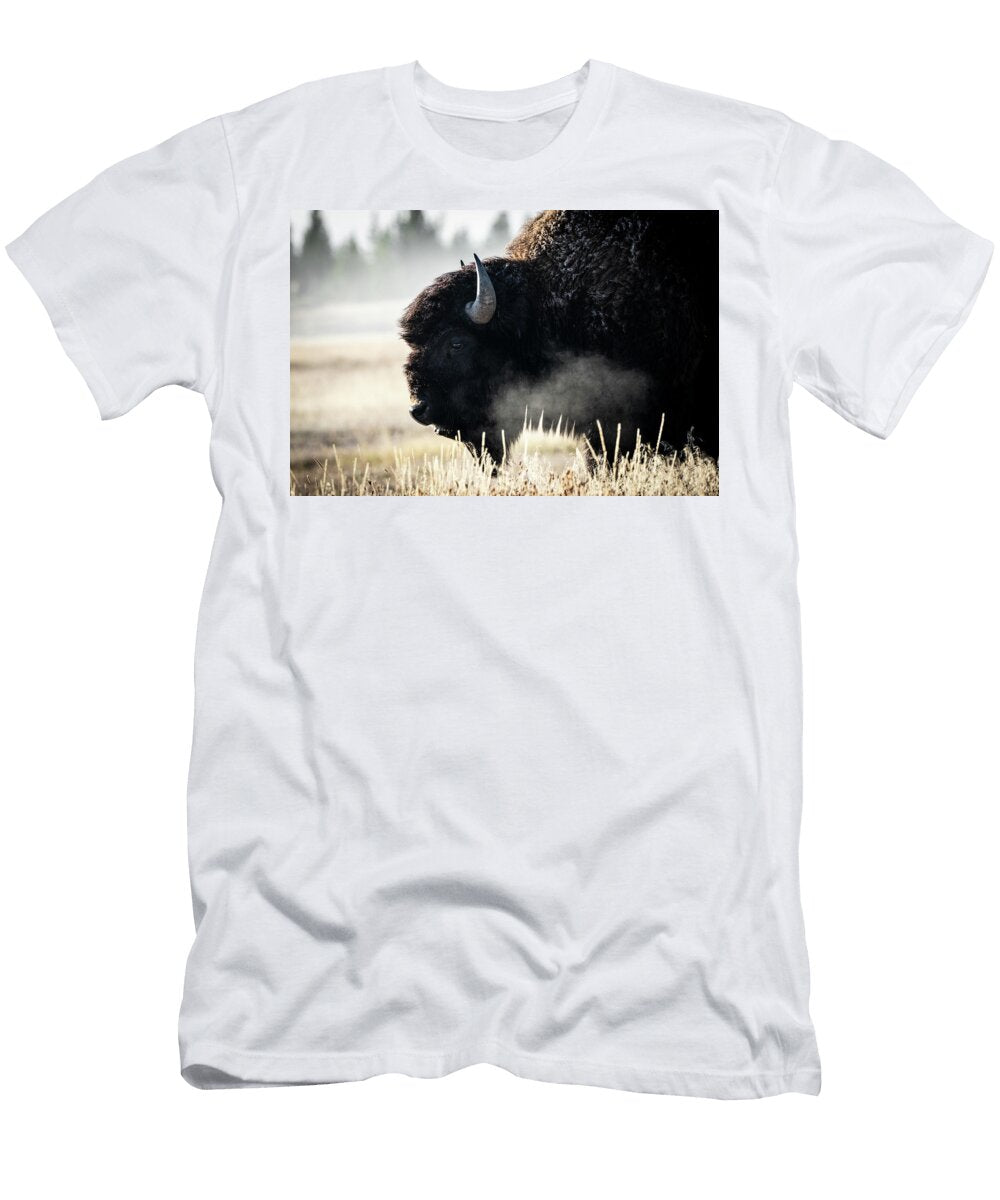 4 Bison Julie Argyle T-Shirt