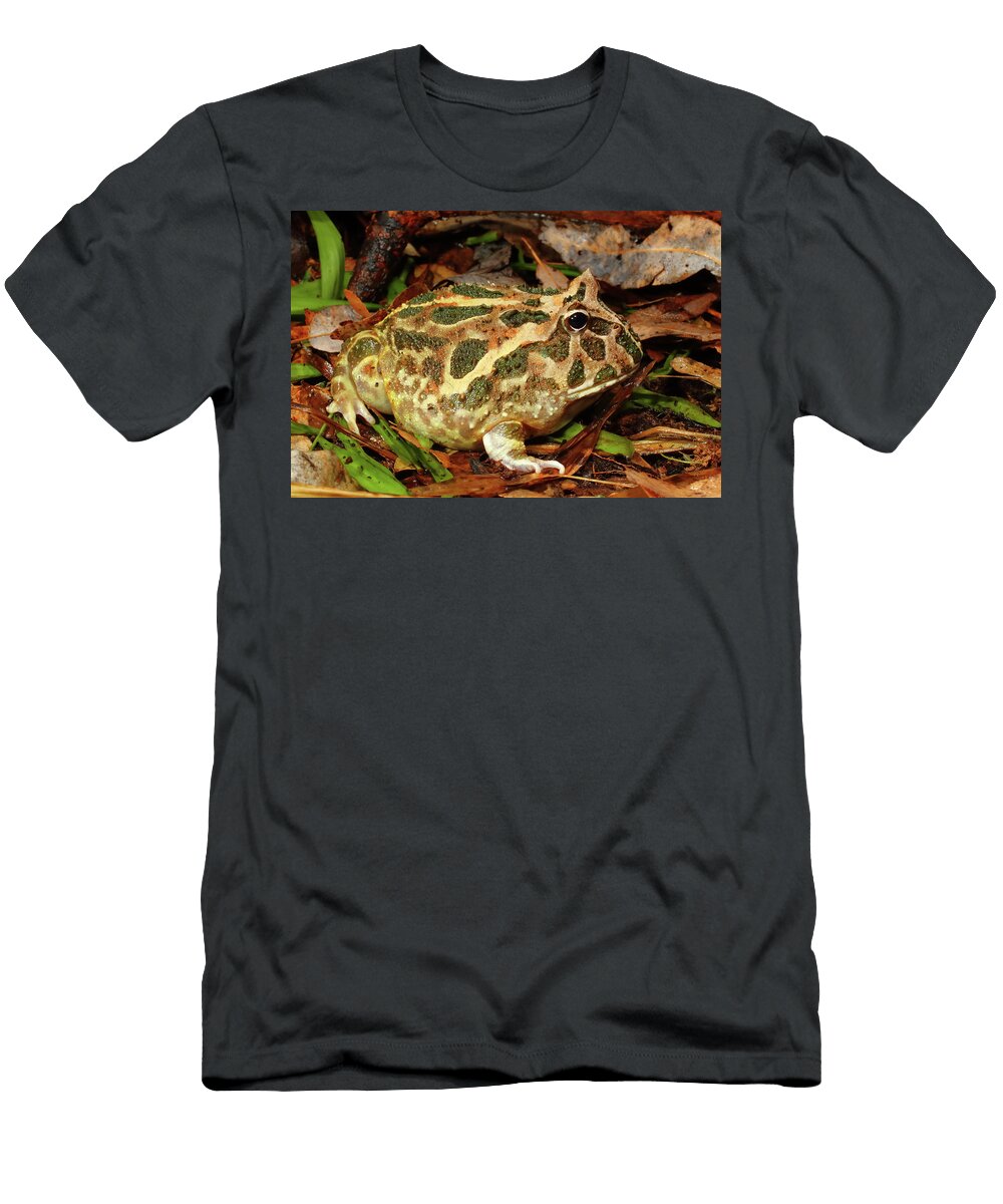4 Chaco Horned Frog Michael Redmer T-Shirt