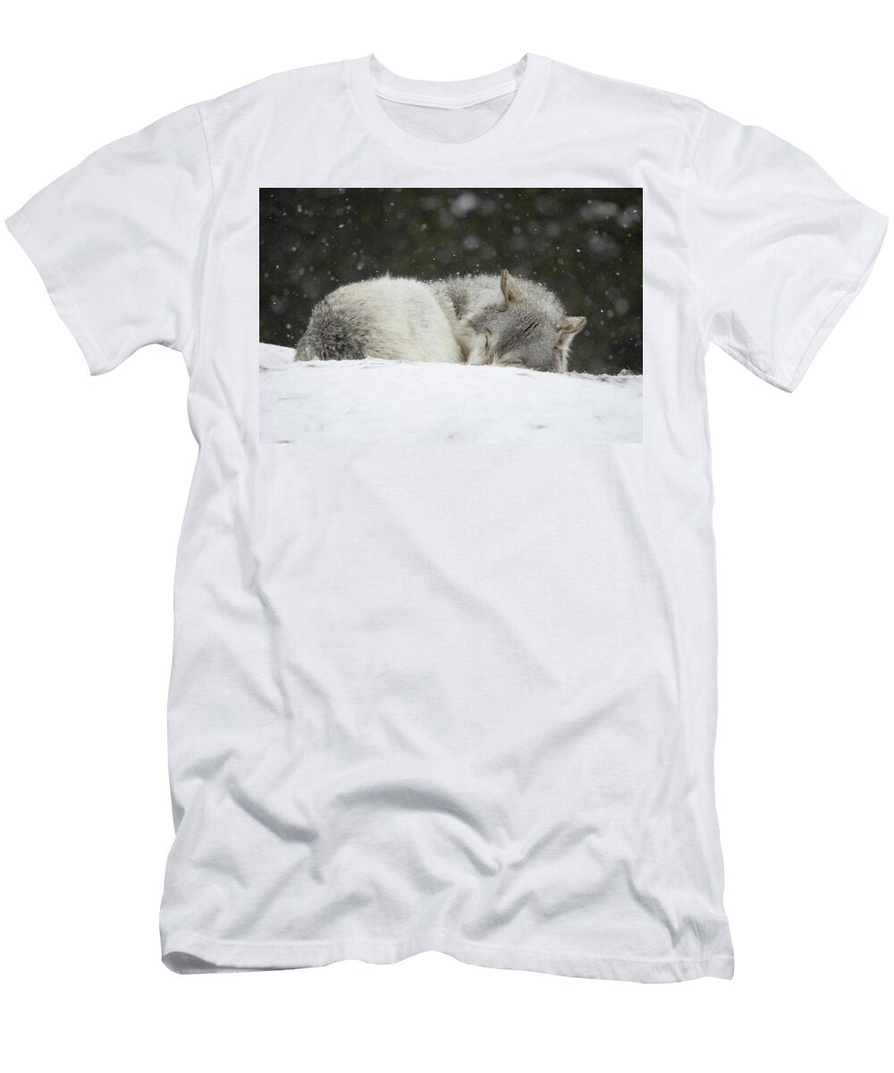 4 Discovery Center Wolves Julie Argyle T-Shirt