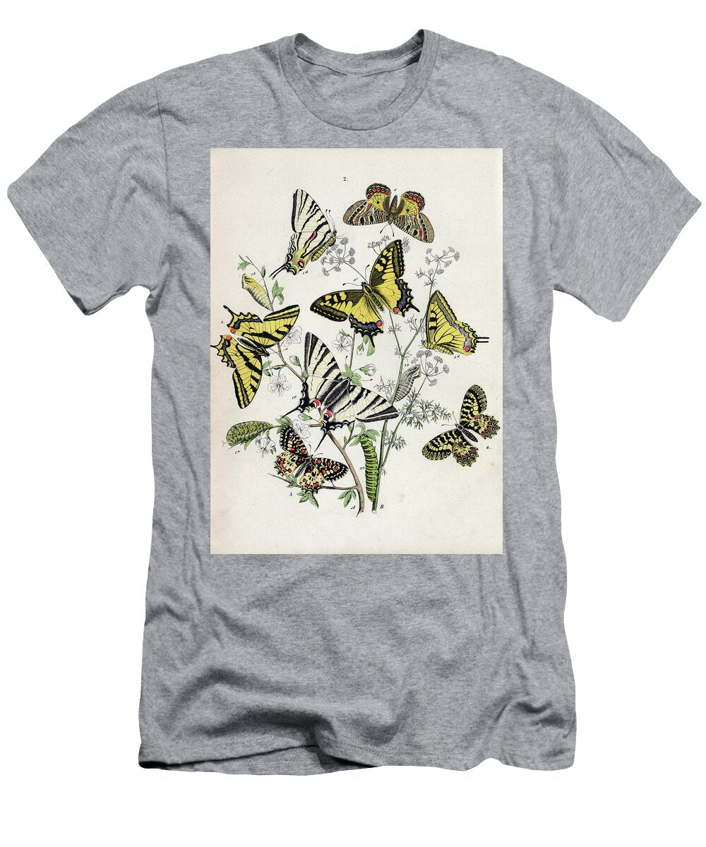 4 European Butterflies and Moths William Forsell Kirby T-Shirt