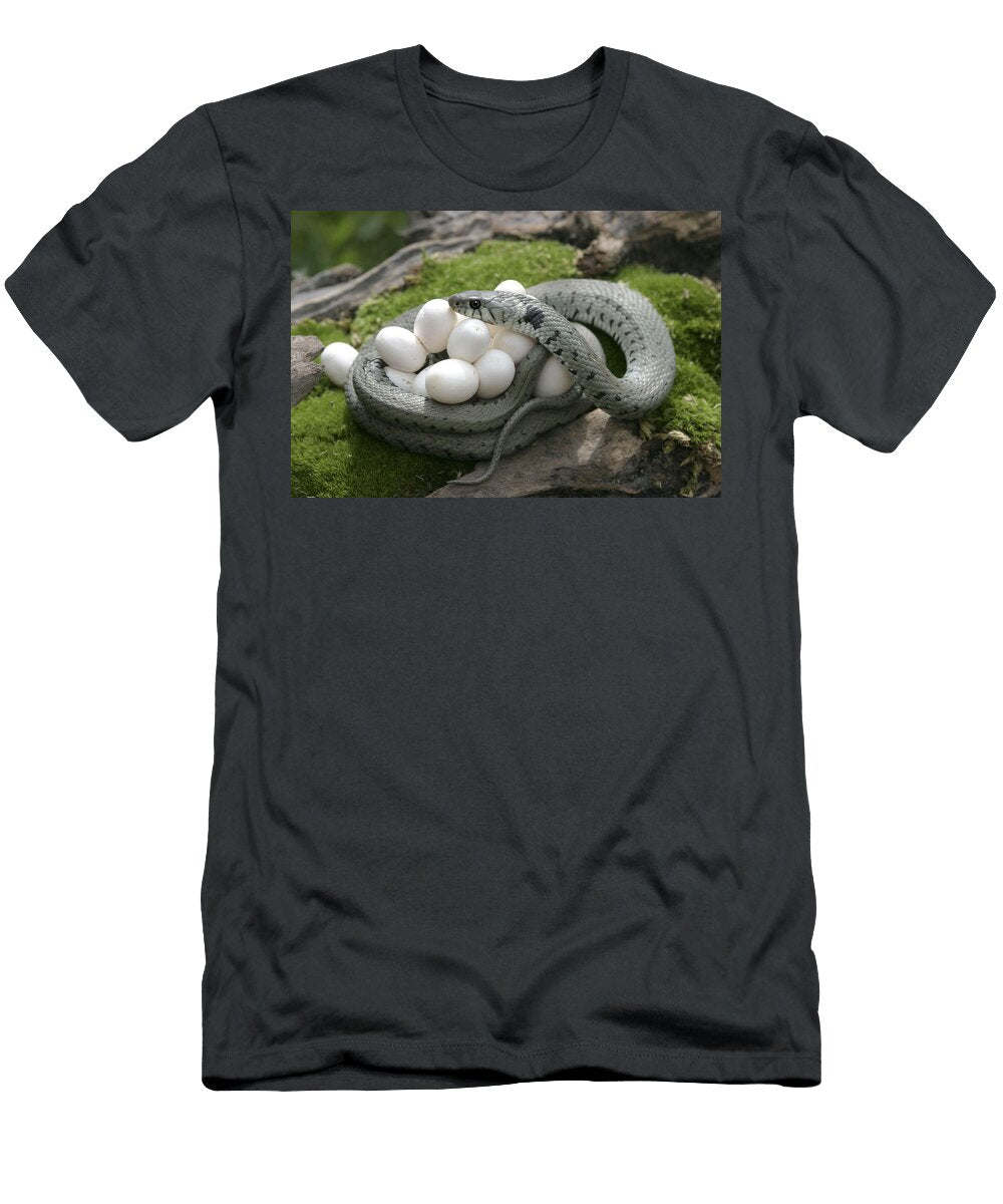 4 Grass Snake with Eggs M Watson T-Shirt