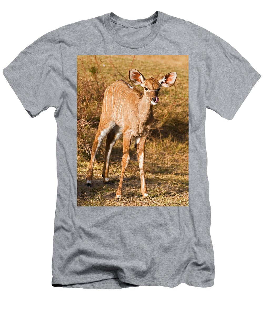 4 Greater Kudu Calf Millard H Sharp T-Shirt